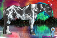 Horse Color:White Spotted Smoky Black Sabino 