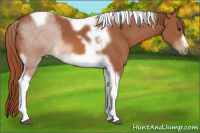 Horse Color:Liver Chestnut Tobiano Frame 