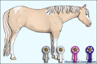 Horse Color:White Spotted Silver Classic Champagne Dun Tobiano