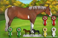 Horse Color:Unknown 