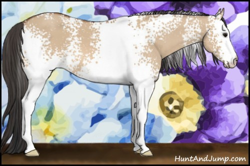 Horse Color: White Spotted Bay Dun 