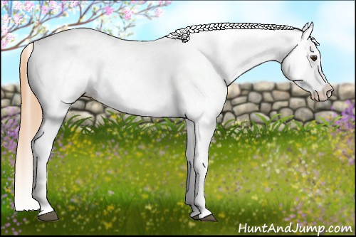 Horse Color: Chestnut Snowcap 