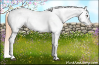Horse Color:Chestnut Snowcap 