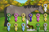Horse Color:Unknown 