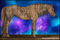 Horse Color:Black  Brindle