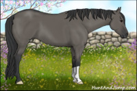 Horse Color:Grullo 