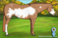 Horse Color:Chestnut Frame 