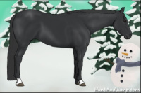 Horse Color:Brown 