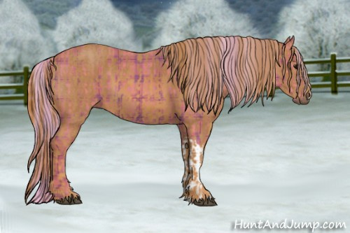 Horse Color: Watercolor Plaid  Silver Black  Brindle