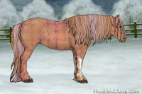 Horse Color:Watercolor Plaid  Silver Black  Brindle