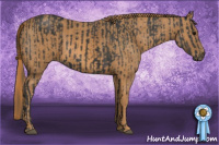 Horse Color:Black  Brindle