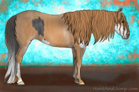 Horse Color:Black Splash Brindle