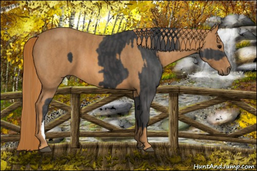 Horse Color: Black  Brindle