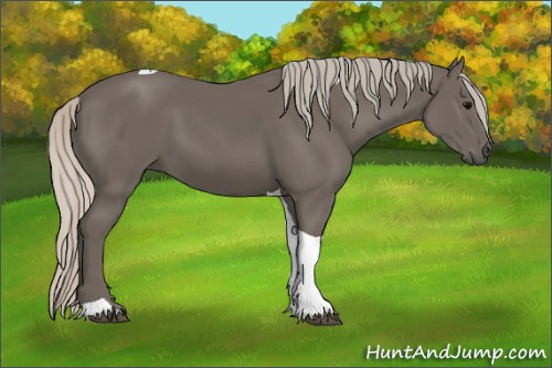 Horse Color: Silver Black Tobiano 
