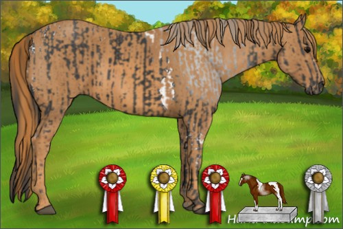 Horse Color: Black Tobiano  Brindle