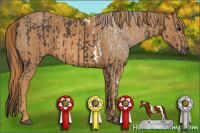 Horse Color:Black Tobiano Brindle