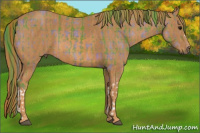 Horse Color:Watercolor Plaid Brown Brindle