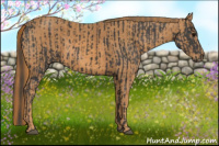 Horse Color:Black  Brindle