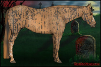 Horse Color:Black  Brindle