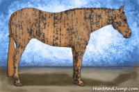 Horse Color:Black  Brindle
