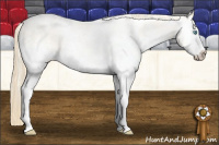 Horse Color:White Spotted Buckskin Pearl Sabino 