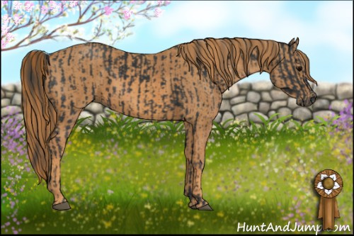 Horse Color: Black  Brindle