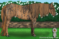 Horse Color:Black  Brindle