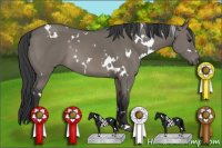 Horse Color:White Spotted Grullo