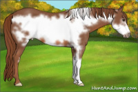 Horse Color:Liver Chestnut Frame 
