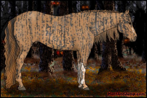 Horse Color: Blue Roan  Brindle