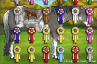 Horse Color:White Spotted Black Tobiano 