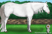 Horse Color:Brown Near Leopard Rabicano 