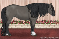 Horse Color:Grullo Tobiano