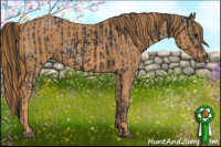 Horse Color:Black  Brindle