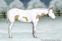 Horse Color:Silver Smoky Black Splash Tobiano 