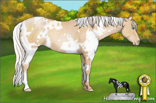 Horse Color: Unknown 