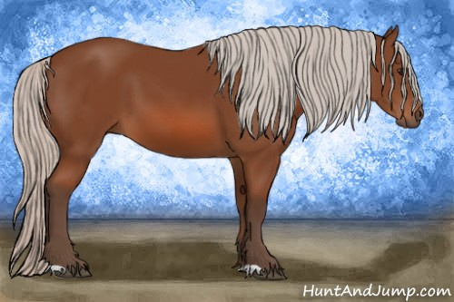 Horse Color: Silver Bay 