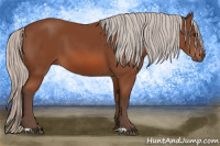 Horse Color:Silver Bay 