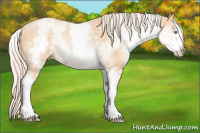Horse Color:White Spotted Chocolate Palomino Ice Pearl 