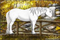 Horse Color:White Spotted Silver Brown Splash Appaloosa Rabicano 