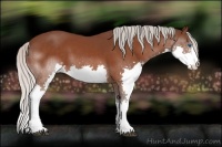 Horse Color:Silver Bay Splash