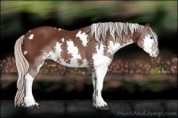Horse Color:White Spotted Silver Brown Splash 