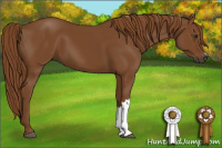 Horse Color:Gray Chestnut 
