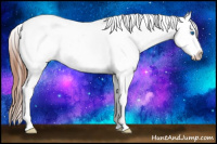 Horse Color:Bay Roan Dun Splash Appaloosa