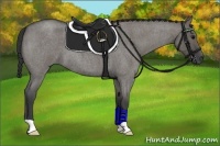 Horse Color:Grullo Roan 