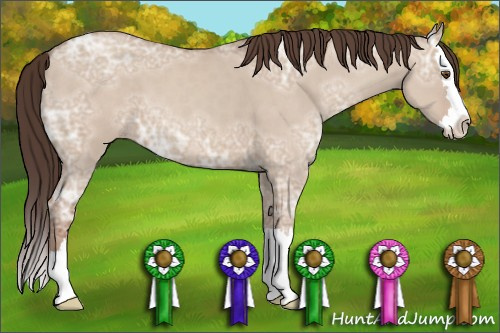 Horse Color: Unknown 