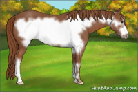 Horse Color:Liver Chestnut Frame 