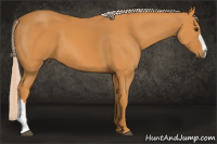 Horse Color:Chocolate Palomino 