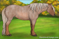 Horse Color:Liver Red Roan 