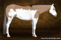 Horse Color:Bay Dun Splash Frame 